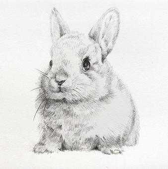文芸部ことのはOB・OG